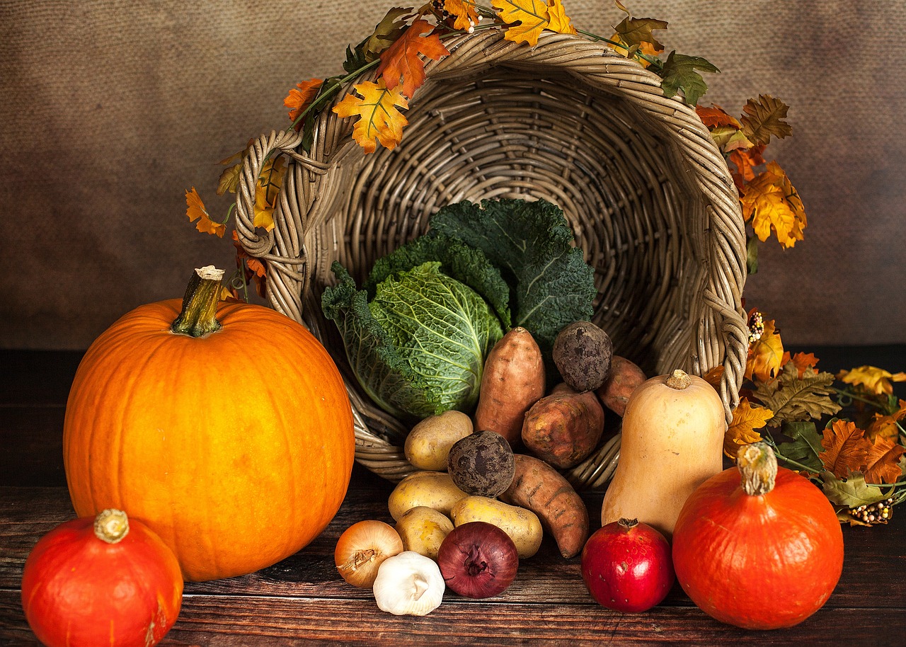 pumpkin vegetables autumn basket 1768857